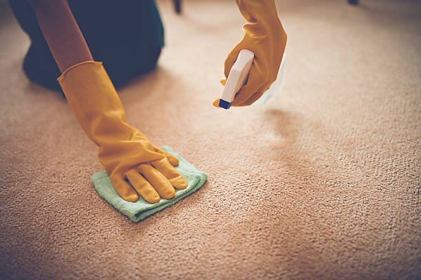 Cleaning carpet stains with microfiber cloth and spray can