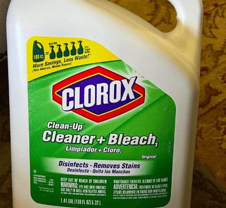 Clorox Cleanup + Bleach